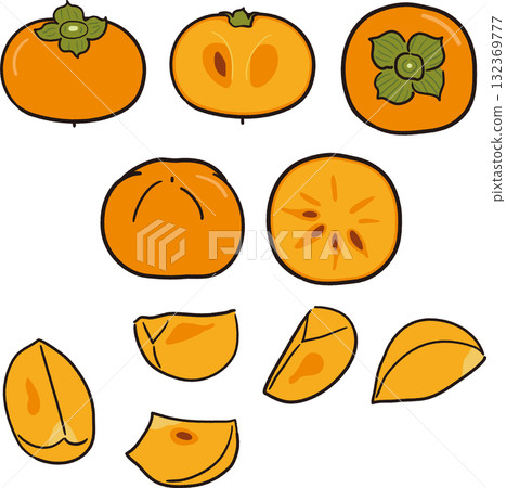 Hand-drawn persimmon, cross section, cut Hand-drawn persimmon, cross section, cut 132369777