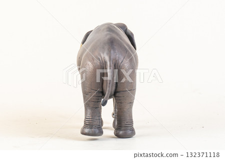 asian elephant on isolated background asian elephant on isolated background 132371118