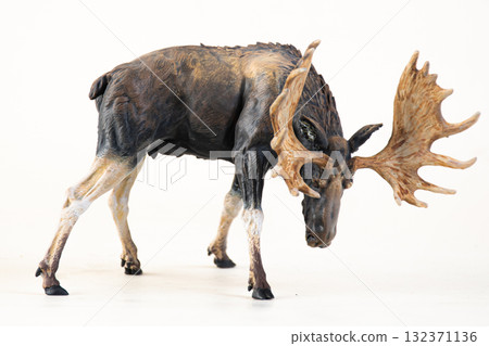 reindeer animal on isolated background 132371136