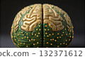 Creative blend of human brain and computer circuitry displayed as a model 132371612