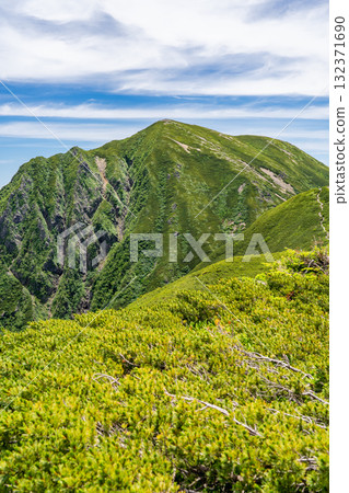 Mount Usagi seen from the summit of Mount Kotodake. Hijiri and Mount Usagi climbing in the Southern Alps. Mount Usagi seen from the summit of Mount Kotodake. Hijiri and Mount Usagi climbing in the Southern Alps. 132371690