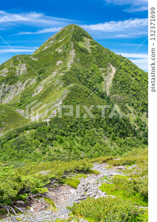 從琴嶽山頂眺望中森丸山。攀登南阿爾卑斯山的聖岳和兔岳 132371699