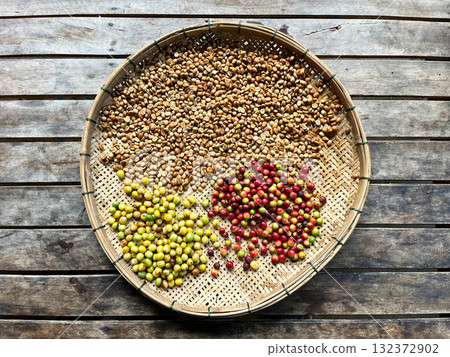 Fresh coffee cherries in vibrant red and yellow hues alongside dried coffee beans displayed on a woven bamboo tray, showing the natural coffee processing stages from fruit to bean Fresh coffee cherries in vibrant red and yellow hues alongside dried coffee beans displayed on a woven bamboo tray, showing the natural coffee processing stages from fruit to bean 132372902