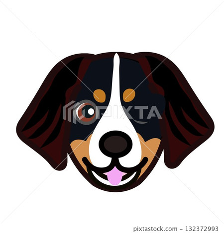伯恩山犬臉插圖 132372993
