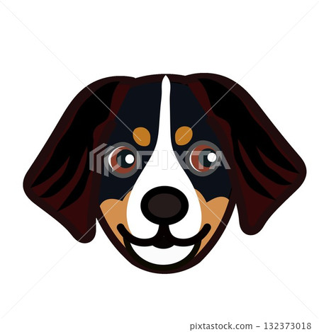 Bernese Mountain Dog Face Illustration 132373018