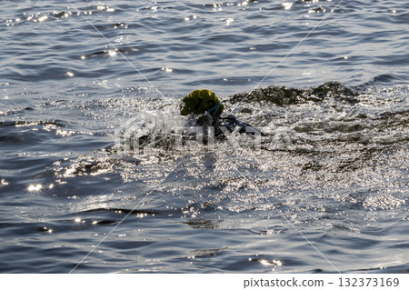 Swimmer in Bright Yellow Cap Navigating Sparkling Water 132373169
