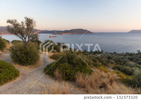 A dirt path winds through dry shrubs toward a calm blue sea. Kas, Turkey A dirt path winds through dry shrubs toward a calm blue sea. Kas, Turkey 132373320