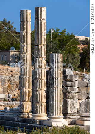 Weathered, fluted stone columns rise from ancient Patara ruins 132373330
