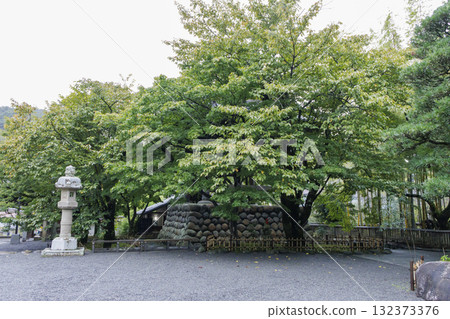 Early Autumn in Shuzenji Early Autumn in Shuzenji 132373376