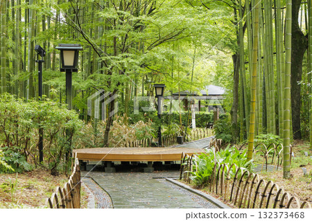 景觀與綠色 景觀與綠色 132373468