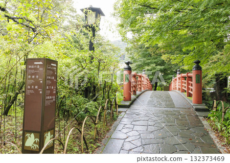 Landscape with green 132373469