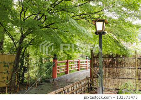 Autumn in Shuzenji, Izu City Autumn in Shuzenji, Izu City 132373473