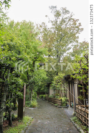 Autumn in Shuzenji, Izu City 132373475