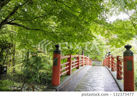 Autumn in Shuzenji, Izu City Autumn in Shuzenji, Izu City 132373477