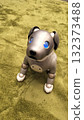 Aibo walking 132373488