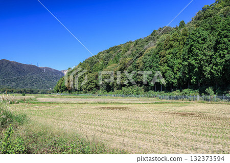 滋賀縣高島市牧野町的田園風光，稻米收割後的稻田 132373594