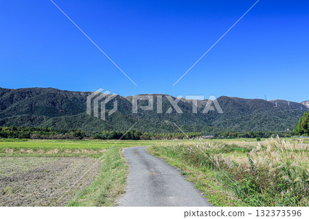 A peaceful rural scene after the rice harvest in Makino Town, Takashima City, Shiga Prefecture 132373596