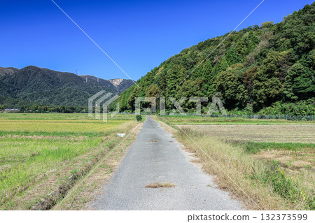 滋賀縣高島市牧野町水稻收穫後的寧靜鄉村景色 132373599