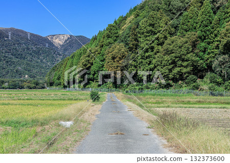 滋賀縣高島市牧野町水稻收穫後的寧靜鄉村景色 132373600