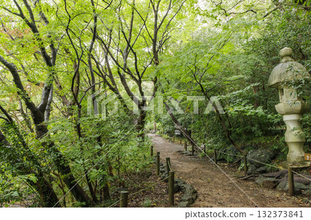 Early autumn at Rakujuen Early autumn at Rakujuen 132373841