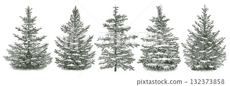 Hand drawn set with snowy green spruce tree. Vector illustration. Hand drawn set with snowy green spruce tree. Vector illustration. 132373858