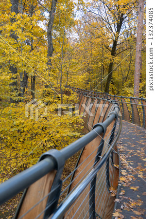 Curved wooden eco trail bridge at VDNH park surrounded by bright yellow autumn foliage and tall trees Curved wooden eco trail bridge at VDNH park surrounded by bright yellow autumn foliage and tall trees 132374085