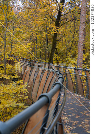 Curved wooden eco trail bridge at VDNH park surrounded by bright yellow autumn foliage and tall trees 132374086