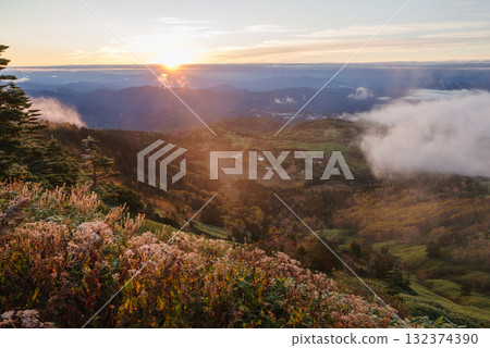 Yoshigahira Marsh illuminated by the morning sun, seen from the highest point on a national highway in Japan 132374390