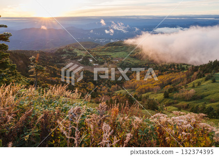Yoshigahira Marsh illuminated by the morning sun, seen from the highest point on a national highway in Japan 132374395