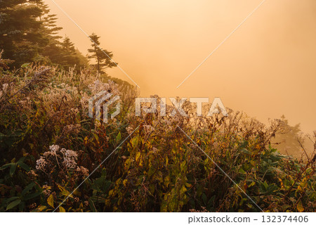 Yoshigahira Marsh illuminated by the morning sun, seen from the highest point on a national highway in Japan Yoshigahira Marsh illuminated by the morning sun, seen from the highest point on a national highway in Japan 132374406