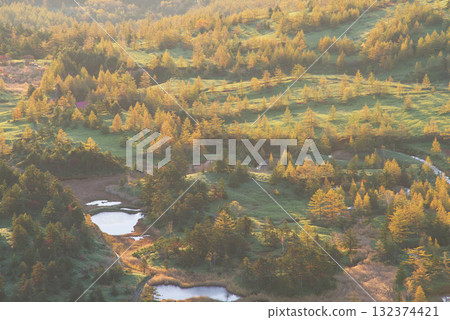Yoshigahira Marsh illuminated by the morning sun, seen from the highest point on a national highway in Japan Yoshigahira Marsh illuminated by the morning sun, seen from the highest point on a national highway in Japan 132374421