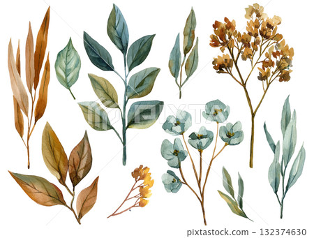 Autumn branch and Leaves, Hand Painted Foliage and Dried Flowers on White Background, Watercolor Botanical Collection with plants Autumn branch and Leaves, Hand Painted Foliage and Dried Flowers on White Background, Watercolor Botanical Collection with plants 132374630