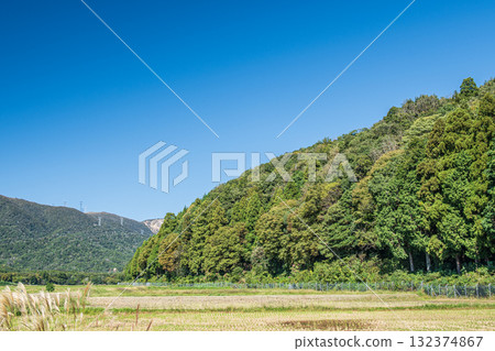 Rural scenery in Makino Town, rice fields after the rice harvest, Takashima City, Shiga Prefecture Rural scenery in Makino Town, rice fields after the rice harvest, Takashima City, Shiga Prefecture 132374867
