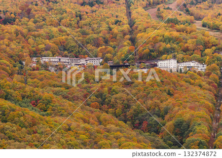Autumn leaves of Shiga Kogen Autumn leaves of Shiga Kogen 132374872