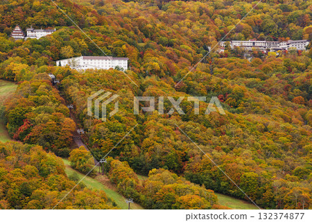 Autumn leaves of Shiga Kogen 132374877