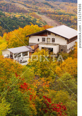 Autumn leaves of Shiga Kogen Autumn leaves of Shiga Kogen 132374898