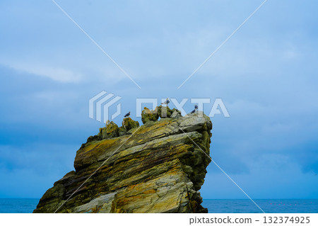 Seagulls sits on the rock, East sea. South Korea Seagulls sits on the rock, East sea. South Korea 132374925
