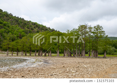 dry cypress lake with bare root cypress trees, mountains. lake dried up, climate change, drought 132375103