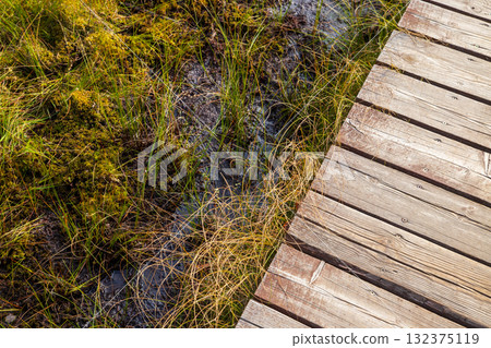 Wooden path on swamp with green grass and aquatic plant life. top view. Sestroretskoye swamp eco trail 132375119