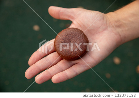 round sponge cake with chocolate in man hand, close up view. Airy sponge cake with delicate cream inside, covered in chocolate glaze. round chocolate cookie 132375158