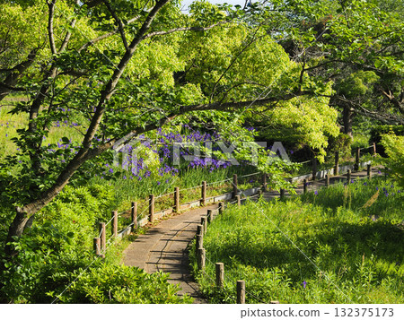 Sodegaura Park Sodegaura Park 132375173