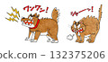 Angry dog and cat 132375206