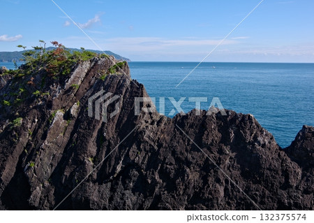 岩手縣大船渡市五石海岸的亂步溪谷和雷岩 岩手縣大船渡市五石海岸的亂步溪谷和雷岩 132375574