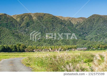從滋賀縣高島市牧野町的田園眺望野坂山脈 從滋賀縣高島市牧野町的田園眺望野坂山脈 132375599