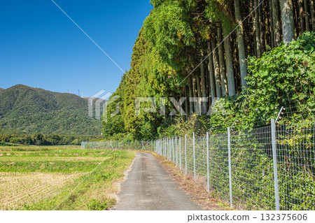 Farm road leading to the foot of the mountain, Makino Town, Takashima City, Shiga Prefecture 132375606
