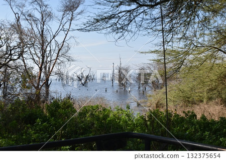 Lake Nakuru seen in Kenya's safari "Lake Nakuru National Park" 132375654