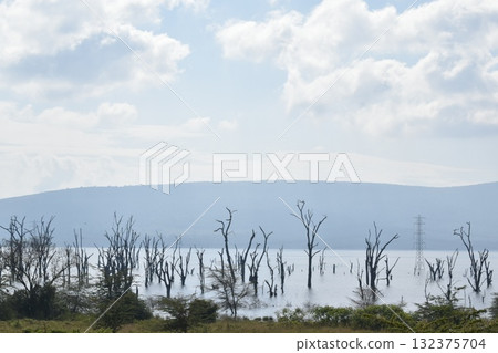 View of Lake Nakuru seen on safari in Lake Nakuru National Park, Kenya 132375704