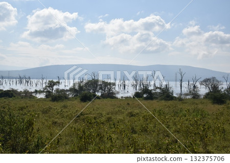 View of Lake Nakuru seen on safari in Lake Nakuru National Park, Kenya 132375706