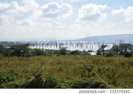 View of Lake Nakuru seen on safari in Lake Nakuru National Park, Kenya 132375882