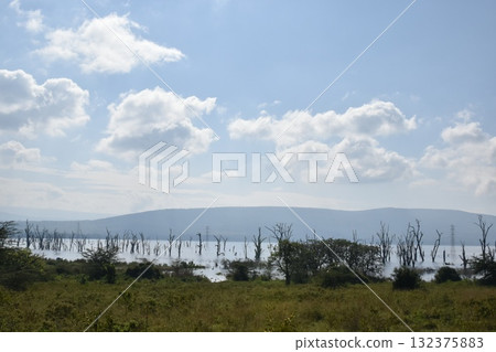 View of Lake Nakuru seen on safari in Lake Nakuru National Park, Kenya 132375883